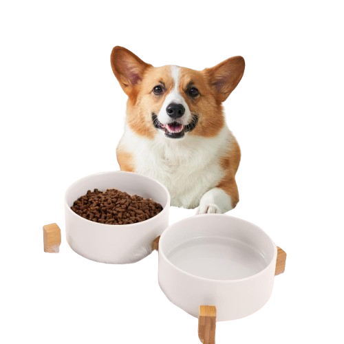 Ceramic Food and Water Bowls Set