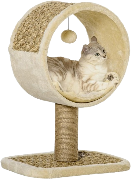 PawHut Cat Scratching Post